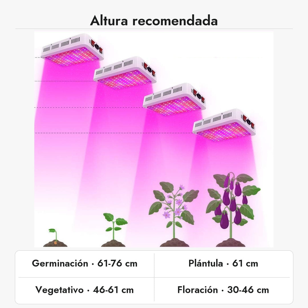 Altura recomendada del panel LED 600W para germinación, plántula, vegetativo y floración