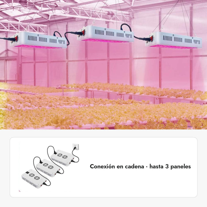 Tres paneles LED 600W conectados en cadena en un invernadero