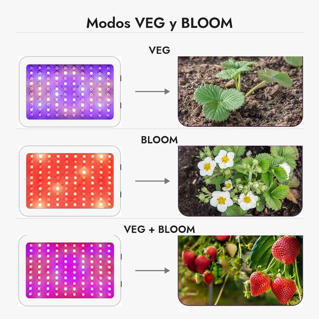 Panel LED 600W en modo VEG, BLOOM y VEG más BLOOM