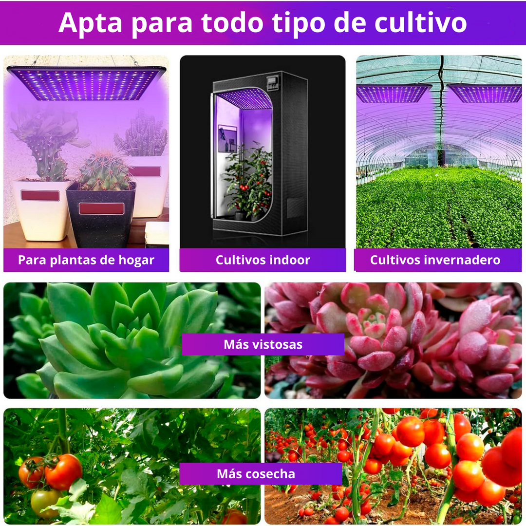 Panel Luz LED GROW 600W - Espectro completo