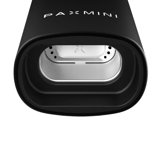 AX Mini Onyx horno de conducción 