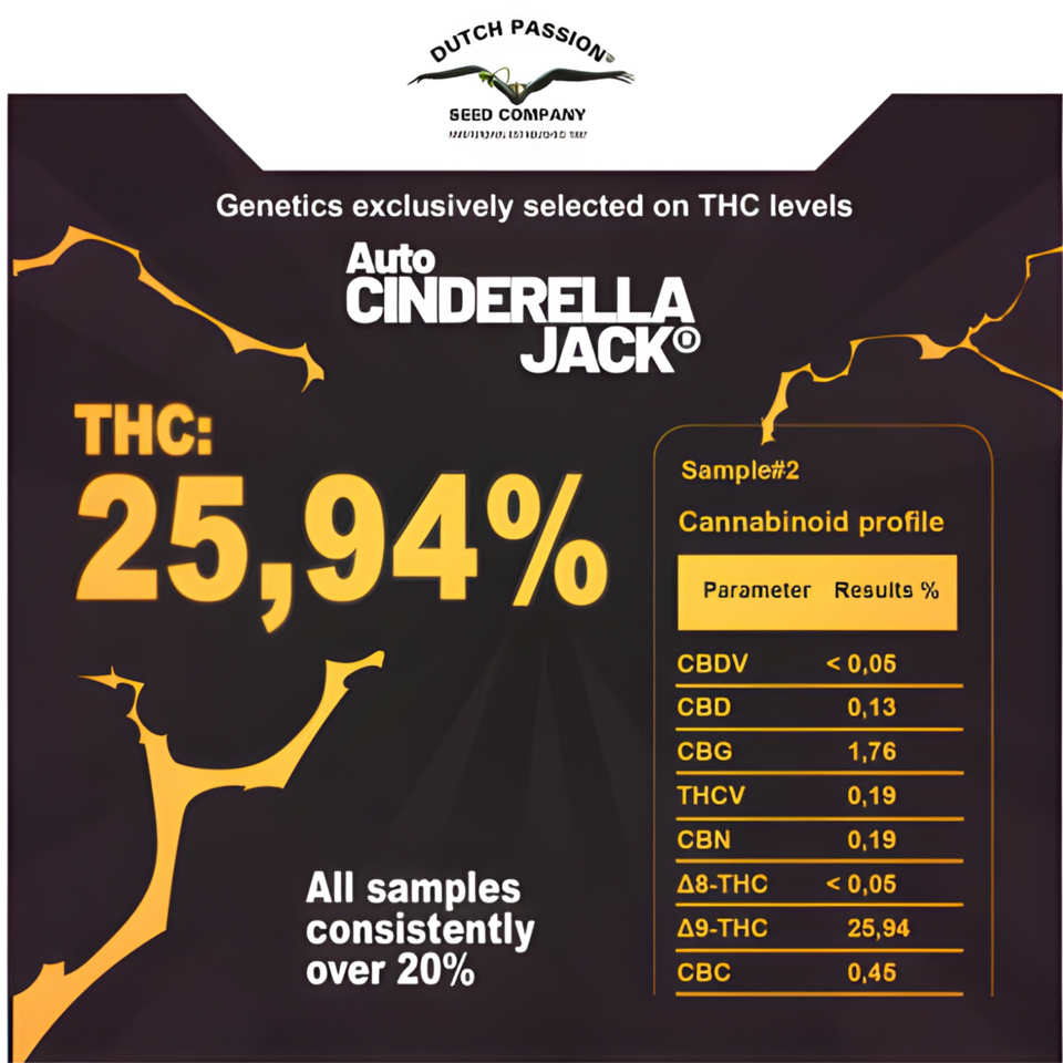 Infografía de laboratorio de Dutch Passion con 25,94 % de THC y la tabla completa de cannabinoides de la muestra analizada