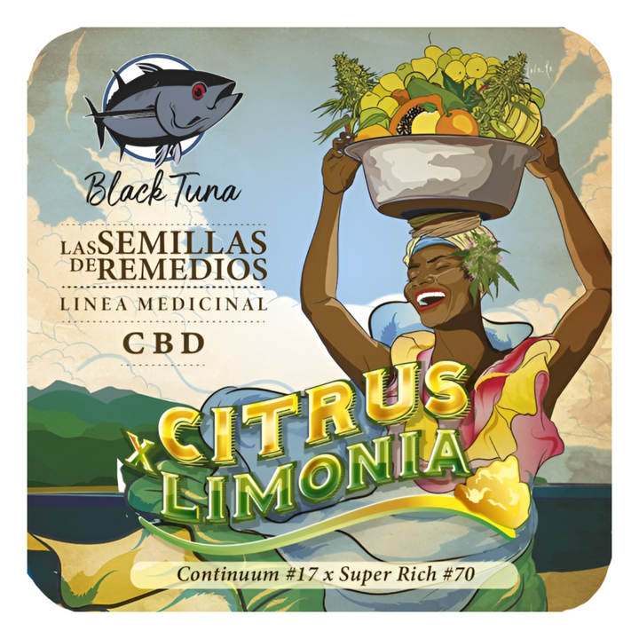 Citrus limonia - Black Tuna Seeds
