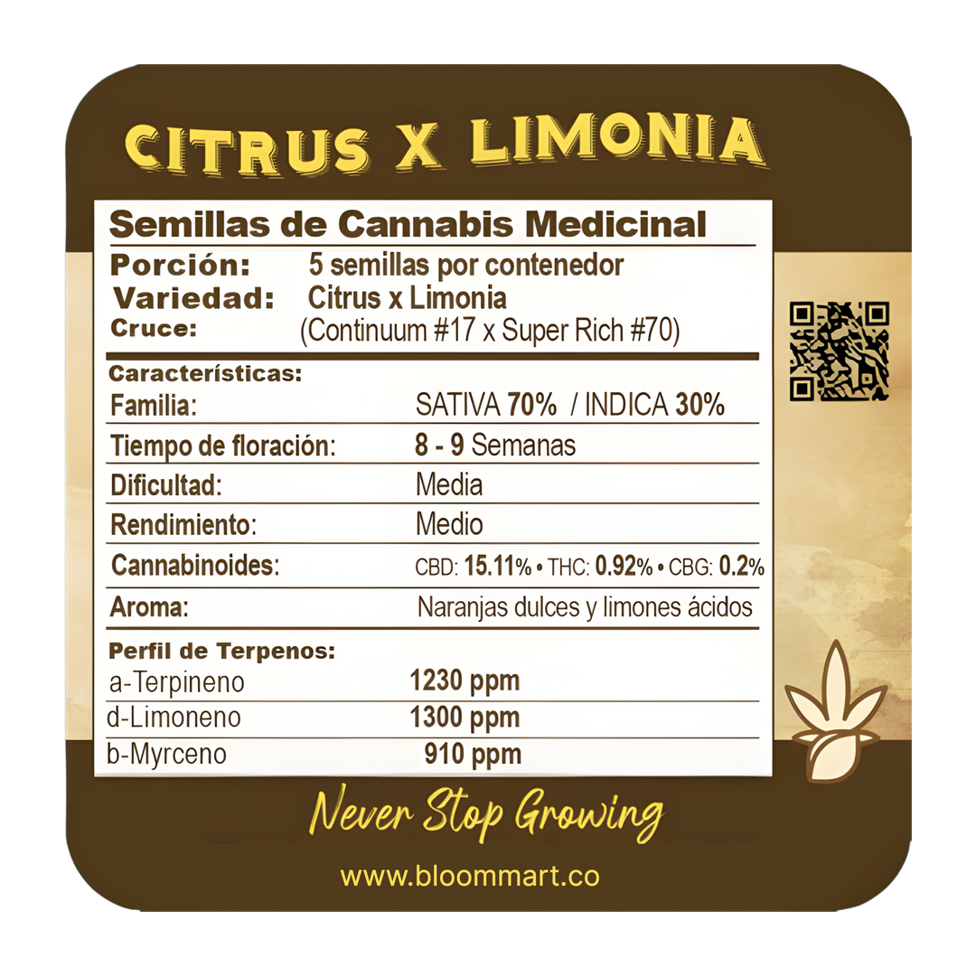 Citrus limonia - Black Tuna Seeds
