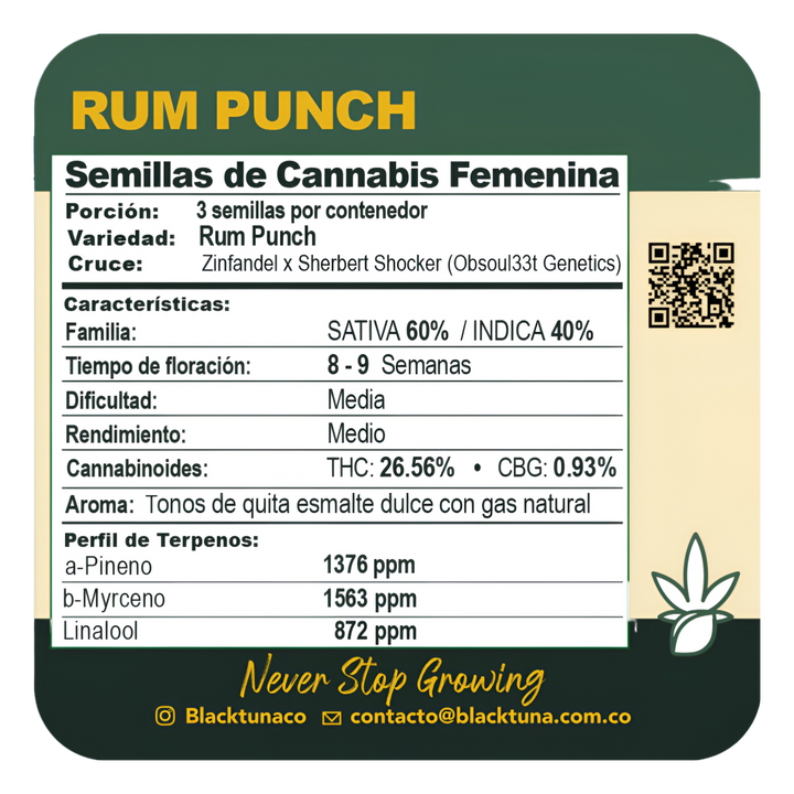 Rum Punch - Black Tuna Seeds