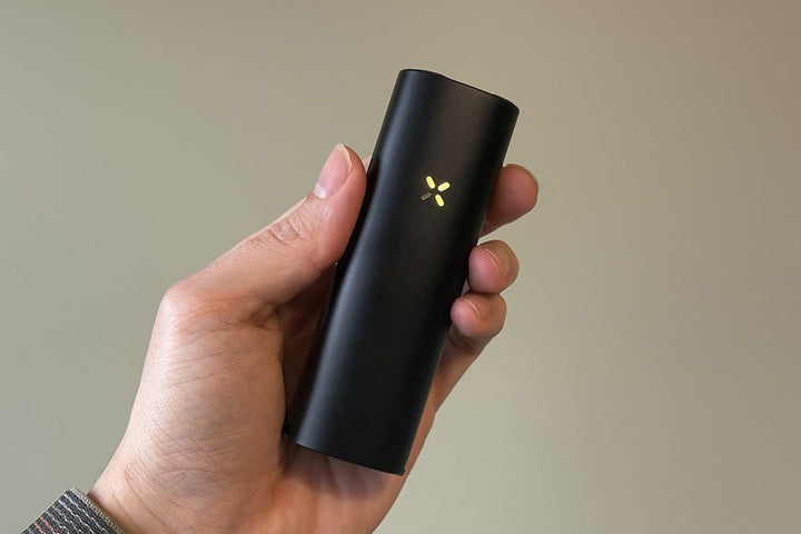 PAX 4 indicadores LED de pétalos — 4 modos de temperatura