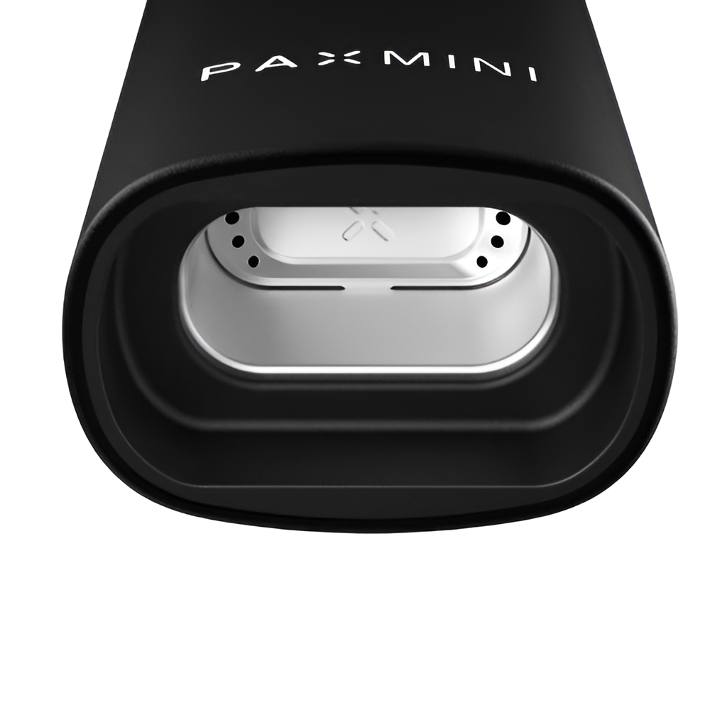 Horno de conducción abierto del PAX Mini Onyx con pantalla interior