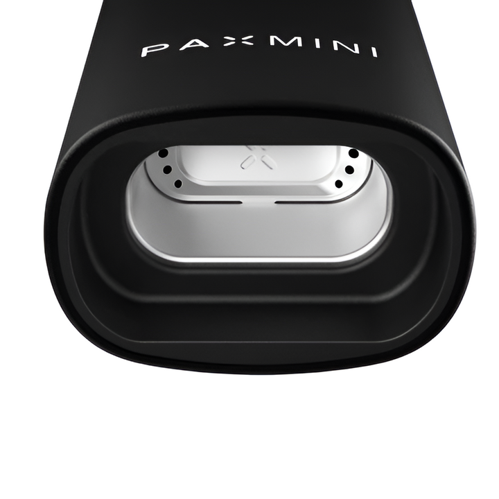 Horno de conducción abierto del PAX Mini Onyx con pantalla interior