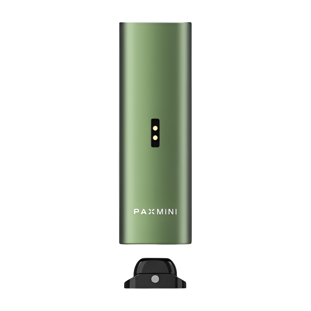 Parte trasera del PAX Mini Greenstone con pines de carga y dock magnético USB-C