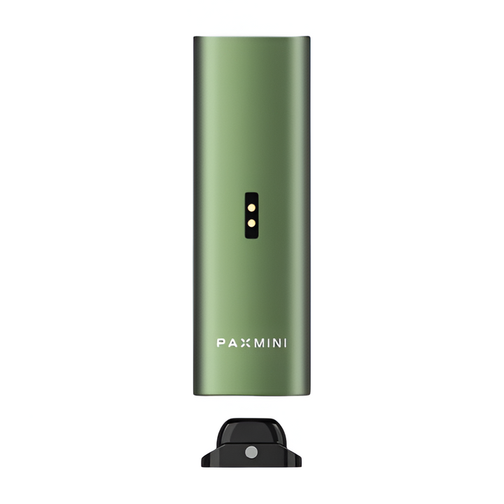 Parte trasera del PAX Mini Greenstone con pines de carga y dock magnético USB-C