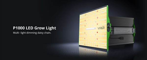 ViparSpectra P1000 instalado en una carpa de cultivo indoor con plantas