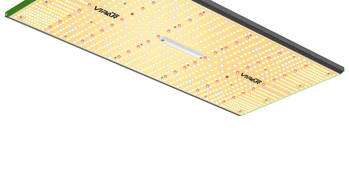 ViparSpectra P2000 250W | Panel LED Cultivo 120×60 — Bloommart
