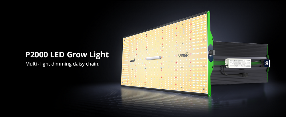 ViparSpectra P2000 panel LED alargado con función daisy chain
