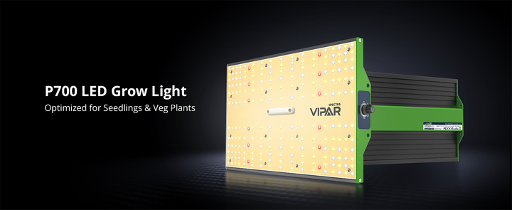 ViparSpectra P700, panel LED de entrada optimizado para plántulas y vegetativo