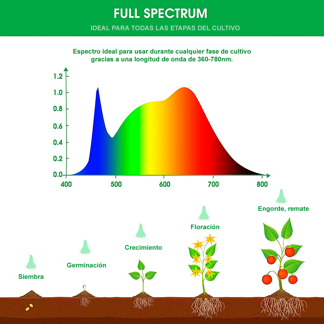 Bombilla LED 12W Espectro completo - Equivalente a 25W
