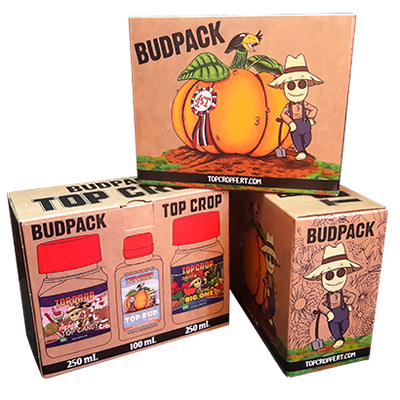 Caja Bud Pack Top Crop