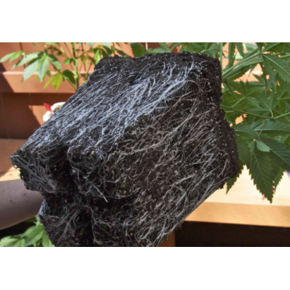 Micorrizas 1Kg - Bloommart - Bloommart Colombia