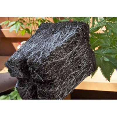 Micorrizas 1Kg - Bloommart - Bloommart Colombia