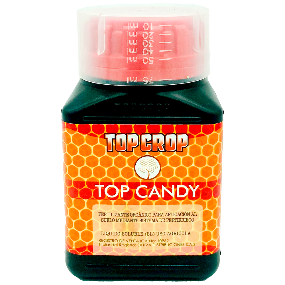 Top Candy - Top Crop - Bloommart Colombia