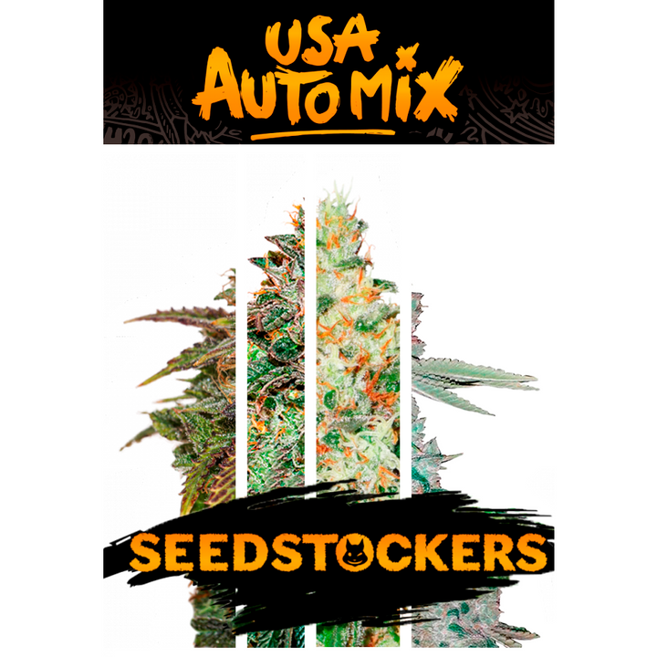 USA Auto Mix Pack x 12 semillas - Seedstockers