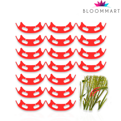 Clips de entrenamiento de bajo estrés para plantas