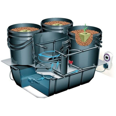 Kit Hidropónico DWC POT 25L - Neptune Hydroponic - Bloommart Colombia