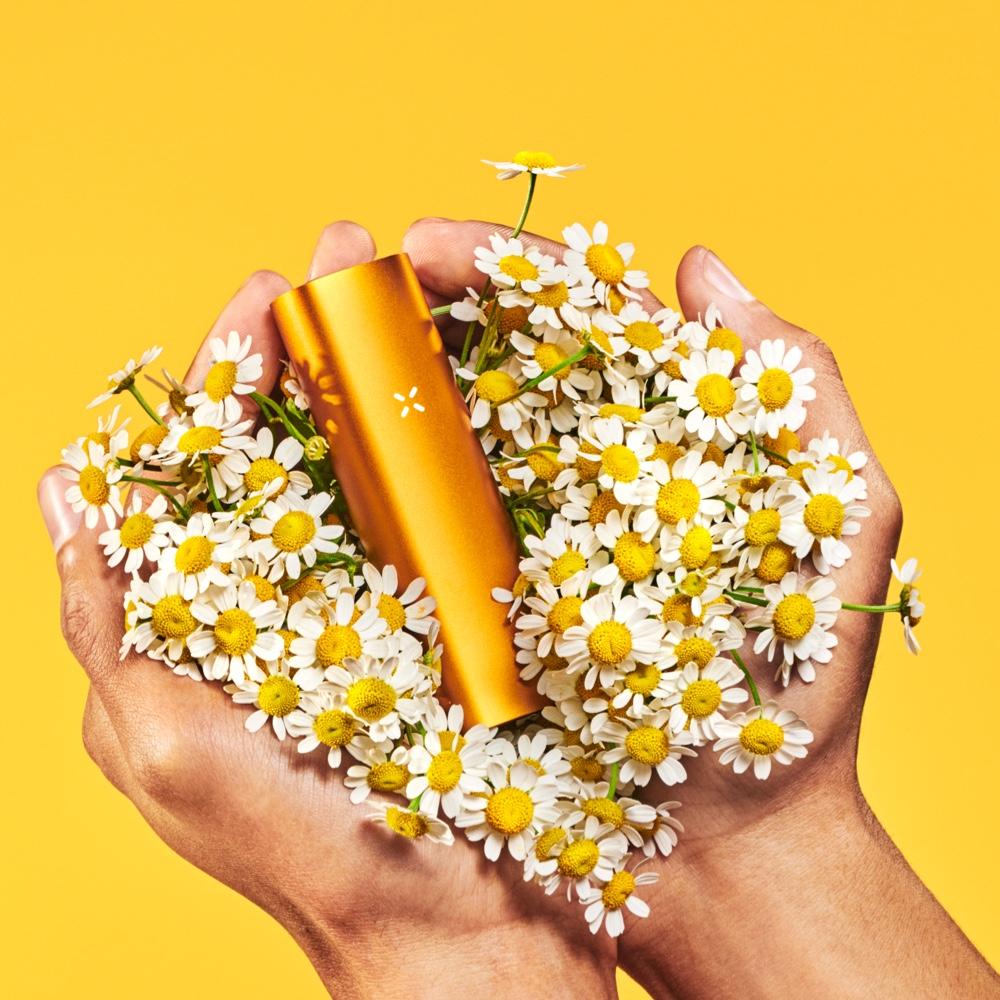 Vaporizador Pax 3 kit completo - Bloommart Colombia