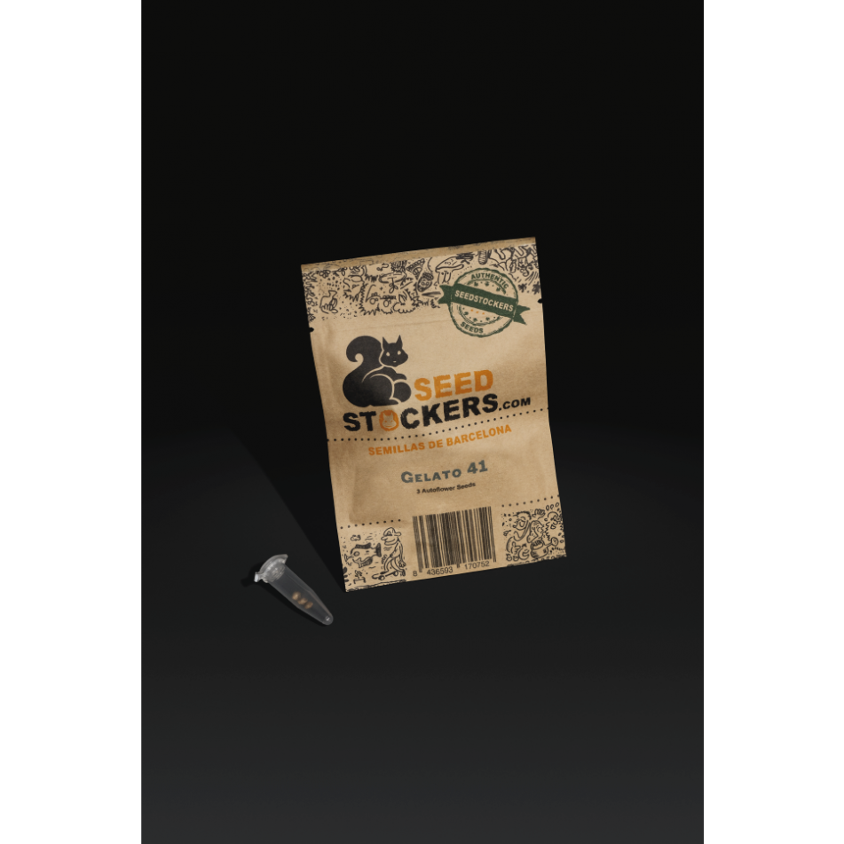 USA Auto Mix Pack x 12 semillas - Seedstockers